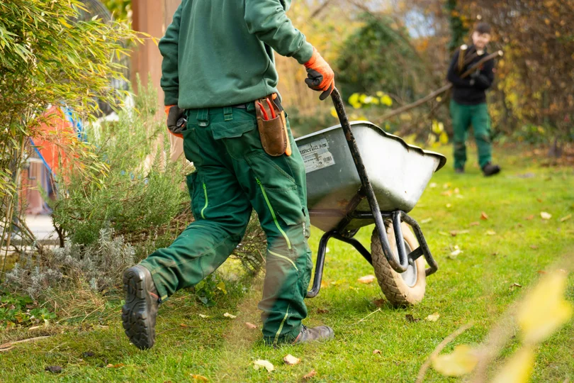 Landscapers working on a property